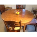 Five Edwardian mahogany carved chairs, (a set of three and two).