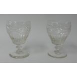 Pair of 19th Century large drinking glasses, height 17cm.