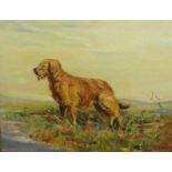 D.U.Soissuns, pair of oil on boards, 'Dog Studies', 58cm x 75cm