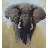 David Shepherd, small open print of an Elephant, 37cm x 33cm.