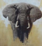David Shepherd, small open print of an Elephant, 37cm x 33cm.