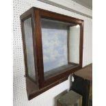 A mahogany wall mounted taxidermy cabinet with glazed door and side panels, the paper backing within