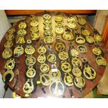 SELECTION OF LEATHER MOUNTED HORSE BRASSES
