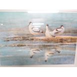 LIMITED EDITION PRINT OF WADING BIRDS AFTER NEIL W COX, ENDORSED IN PENCIL TO MARGIN AND NUMBERED