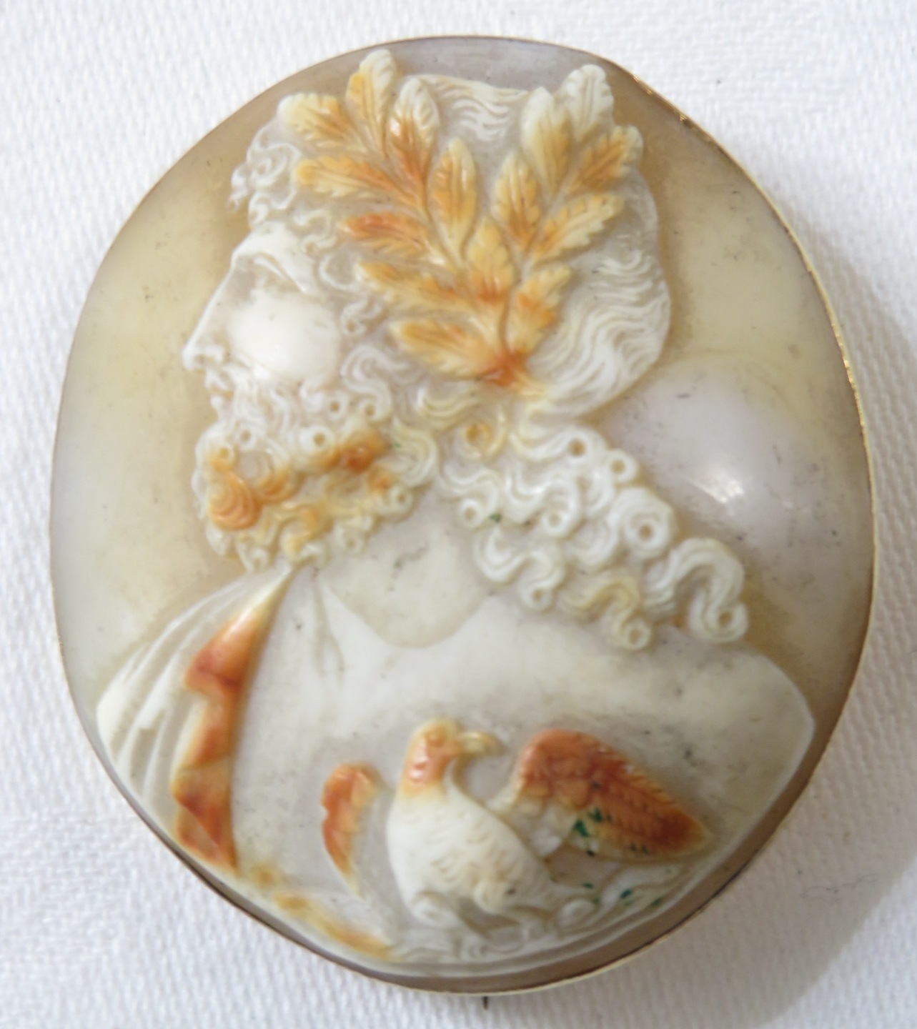 A cameo brooch depicting Pliny and dove, yellow metal mount, no stamped marks, overall height 46mm