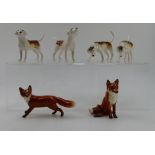 A collection of Beswick Hunting dogs to include Fox Hound 2262, 2263, 2264, 2265, Fox 1748,