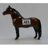 Beswick Dartmoor Pony Warlord 1642 with certificate.