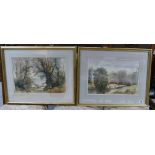 Two framed watercolours signed N.F.