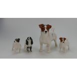 A collection of Beswick dogs to include Jack Russell terrier 2023, Jack Russell terrier 2109,