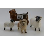 Beswick Black faced Ram 3071, Lamb 1828,