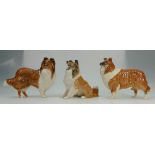 Beswick Collie Lochinvar of Ladypark 1791, Collie 3129 and Shetland Sheepdog - Seated 3080.