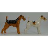 Beswick Wired-Haired Terrier 963 and Airedale Terrier 962.