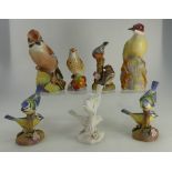 A collection of Royal Worcester birds to include Woodpecker, Jay 3248, Thrush, 2 x pair Bluetits,