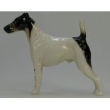 Beswick Smooth-Haired Terrier 'Endon Black Rod' 964, (restored tail).