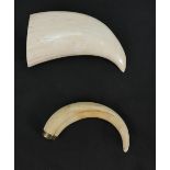 A collection of items including warthog tusk in 9ct gold mount, a whale tooth,