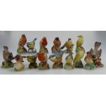 A collection of Royal Worcester garden birds, to include American Robin, Sparrow, Nuthatch, Wren,