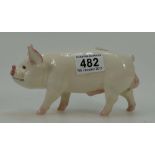 Beswick Middlewhite Boar 4117 (boxed)
