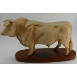 Beswick Connoisseur Charolais Bull.