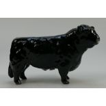 Beswick black Galloway bull 1746A.