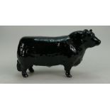 Beswick Black Aberdeen Angus Bull 1562