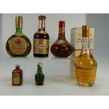 A collection of spirits to include Drambuie, Prince Charles Edwards liqueur from the Isle of Sky,