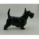 Royal Doulton model of a Scottish Terrier HN1015