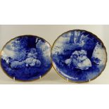 Royal Doulton pair blue children plates,