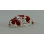 Royal Crown Derby paperweight Puppy with gold stopper exclusive for collectors guild (boxed)