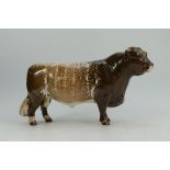 Beswick Shorthorn bull 1504