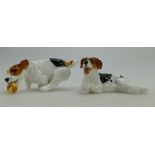 Royal Doulton terrier lying HN1101 and a Terrier with ball HN 1097 (2)