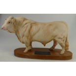 Beswick Connoisseur Charolais Bull on plinth model A2600