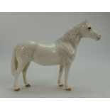 Beswick grey Connemara pony 1641