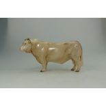 Beswick Charolais bull 2463A