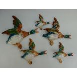 Beswick set Mallard Duck wall plaques 596-0, 596-1, 596-2,