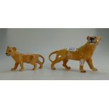 Beswick Lioness 2097 and Lion Cub 2098 (2)