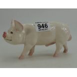 Beswick Middlewhite Boar 4117 (boxed)