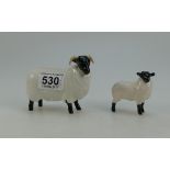 Beswick Black faced sheep 1765 and Black faced Lamb 1828 (2)