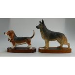 Beswick Connoisseur Basset Hound 2045 and similar Alsatian 2587(2)