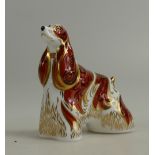 Royal Crown Derby paperweight of an American Spaniel with gold stopper (boxed)