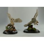 A collection of large Country Artists resin figures (one boxed) to include Barn Owl in flight and