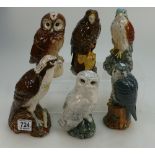 Royal Doulton Decanters Peregrine Falcon, Osprey, Snowy Owl, Tawny Owl,