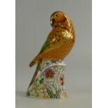 Royal Crown Derby paperweight of a Sun Parakeet with gold stopper (boxed)