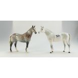 Beswick Grey Arab Horse 1771 and Grey Hunter H260(2)