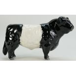 Beswick belted Galloway bull 1746B