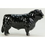 Beswick black Galloway bull 1746A