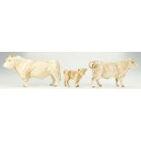 Beswick Charolais family comprising bull 2463A,