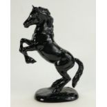 Beswick rearing welsh cob 1014 in rare black gloss colourway