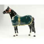 Beswick Horse Champion Welsh Mountain pony black gloss A247, Collectors Club Special 1999,