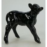 Beswick Aberdeen Angus calf 1406A