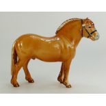 Beswick Norwegian Fjord Horse, 2282, Dun Gloss, 16.